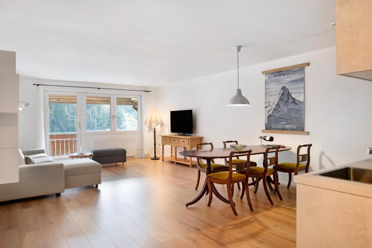 Panorama Apartment Todtmoos Exteriér fotografie